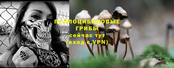 гидра Беломорск