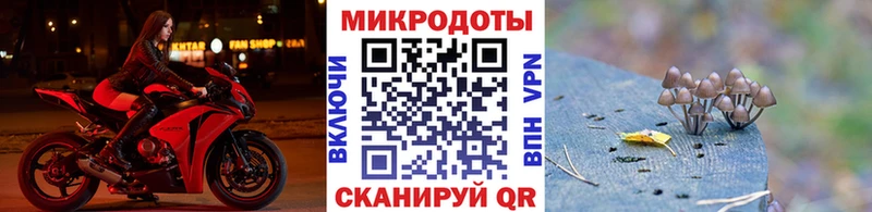 Галлюциногенные грибы Cubensis  Буйнакск 
