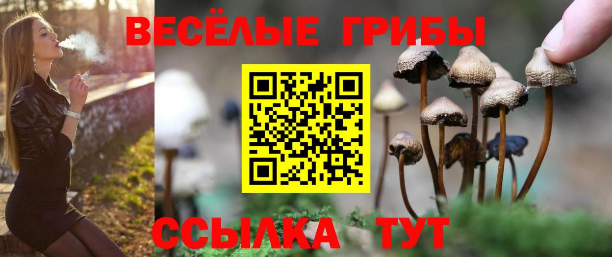 Галлюциногенные грибы мицелий  Вход с VPN  Буйнакск 