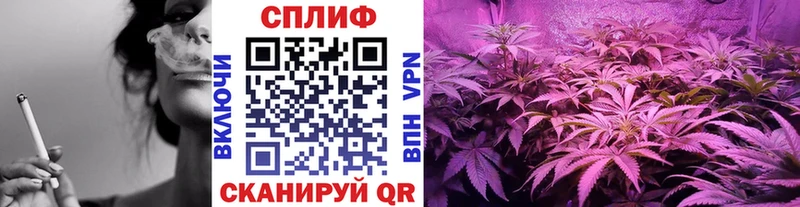 Бошки Шишки White Widow  Буйнакск 